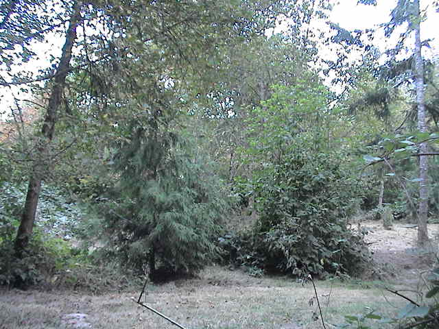 DSC00018