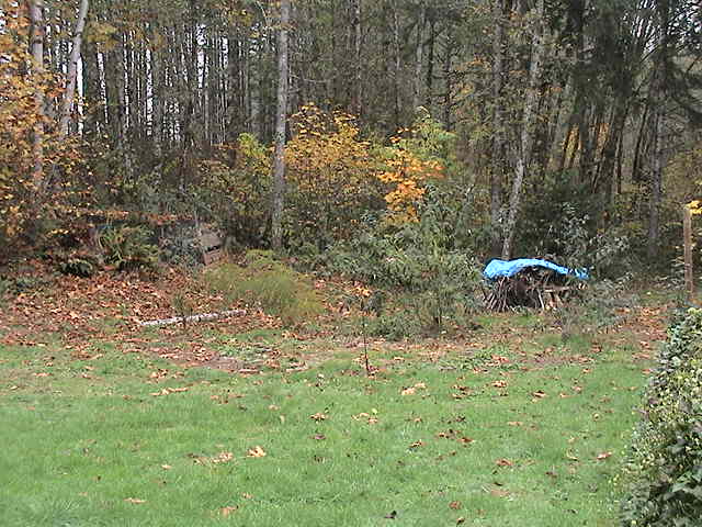 yard web 7