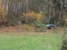 yard web 7